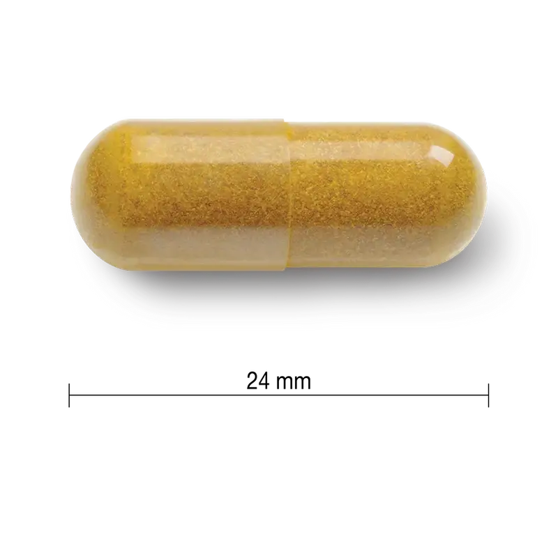Jamieson Kurkumiini Curcuma 550 mg, 60 kapselia