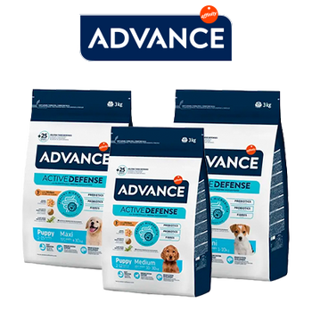 AFFINITY - ADVANCE 15% DTO EXTRA (31 OCTUBRE 2026)
