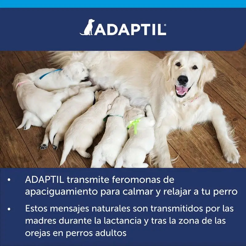Ceva Adaptil-kaulapanta 45 cm, stressiä lievittävät feromonit
