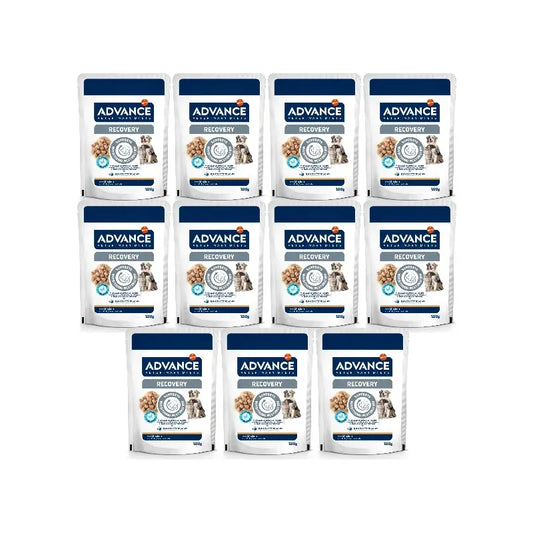 Advance-kostearuoka lemmikeille, sisältää kostearuokaa, yksittäispakkaus, 11 x 100 g
