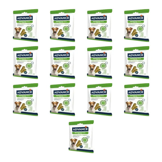 Advance Dental Care Mini, 90 g, 13 kpl:n pakkaus