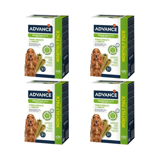Advance Dental Care Stick, 180 g, 4 kpl:n pakkaus