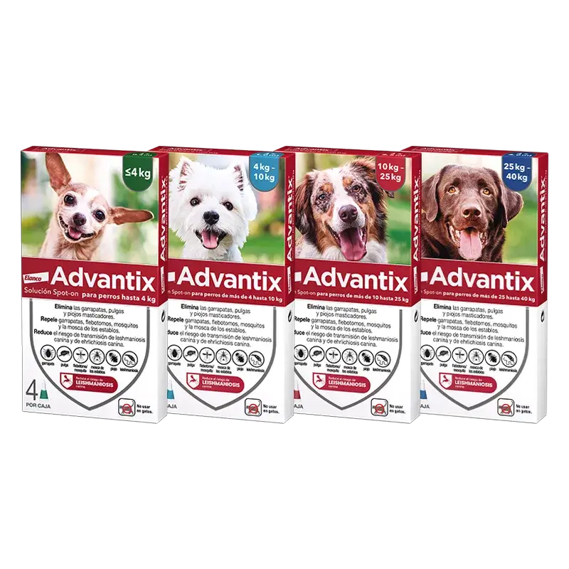 Advantix-loislääkepipetit koirille, paino enintään 4 kg, 4 kpl x 0,4 ml
