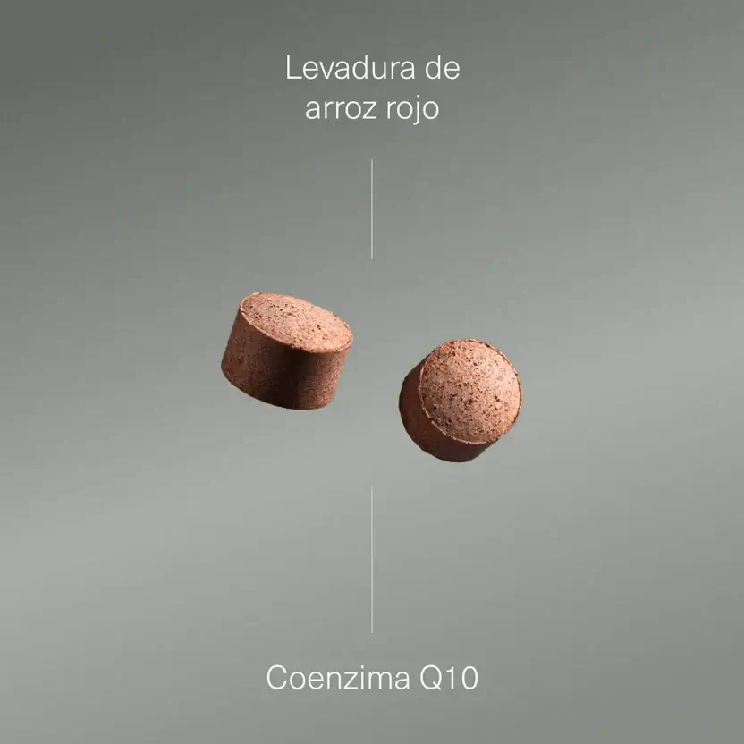 Aldous Bio Punariisihiiva ja koentsyymi Q10, Aldous, 400 tablettia
