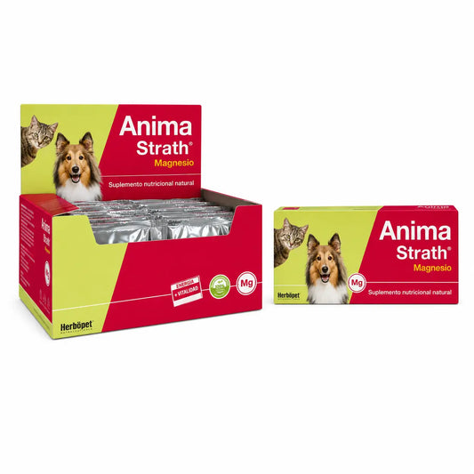 Anima Strath Magnesium 40 tablettia