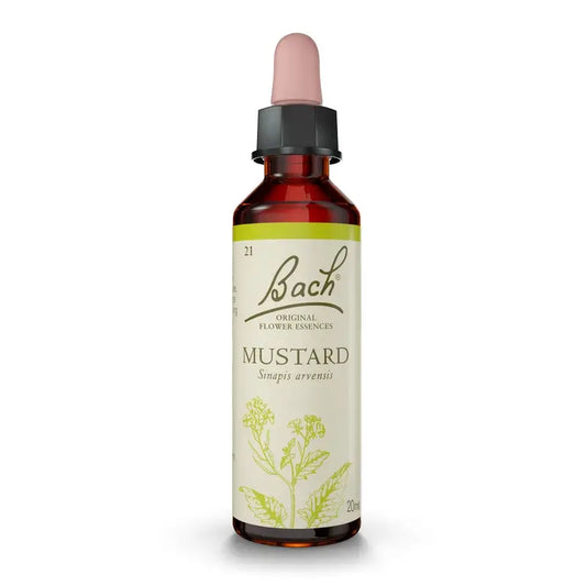 Bach-sinappi 20 ml