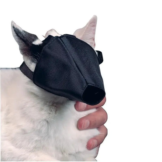 Buster-nylonkuonokoppa kissalle