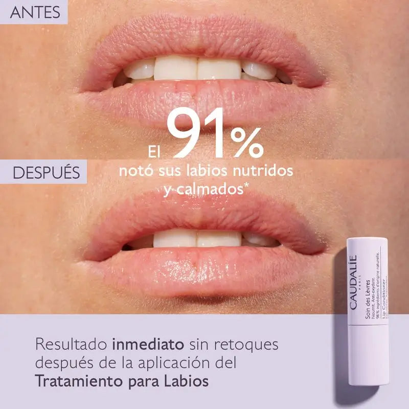 Caudalie huulivoide, 4,5 g