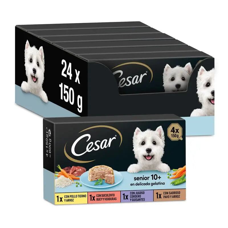 Cesar Multipack Senior, pakkaus 6 x 4 x 150 g