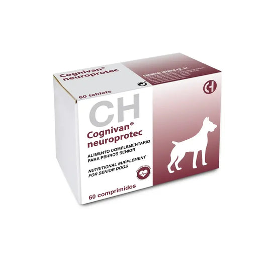 Chemical Cognivan Neuroprotect, 60 tablettia 