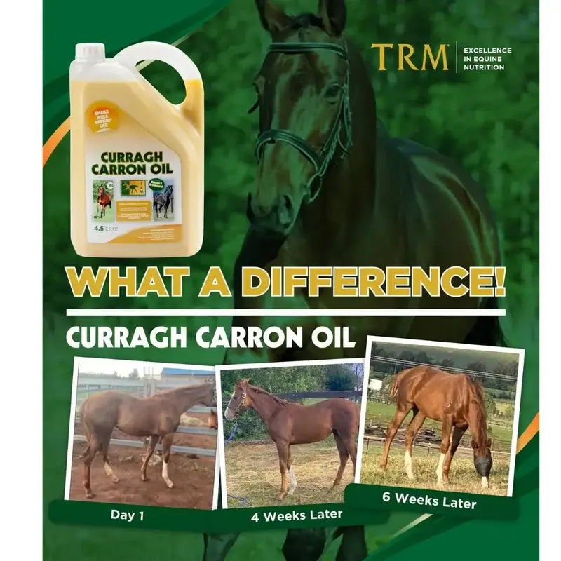 Curragh Carron Oil 4,5 litraa. Omega 3–6