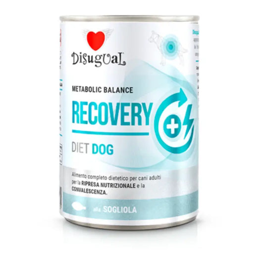 Disugual Diet Dog Recovery -kielikala, 6 x 400 