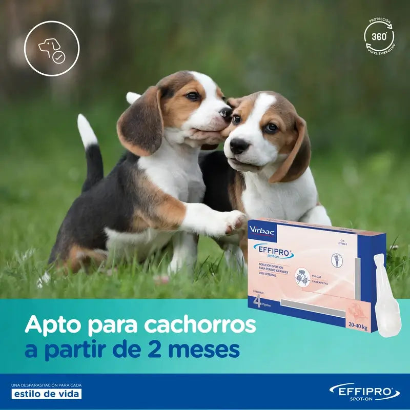 Effipro 402 mg Spot-On, suuret koirat (+40 kg), 4 pipettia