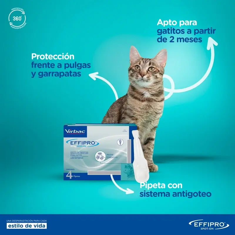 Effipro 50 mg Spot-On -kissille, 4 pipettia