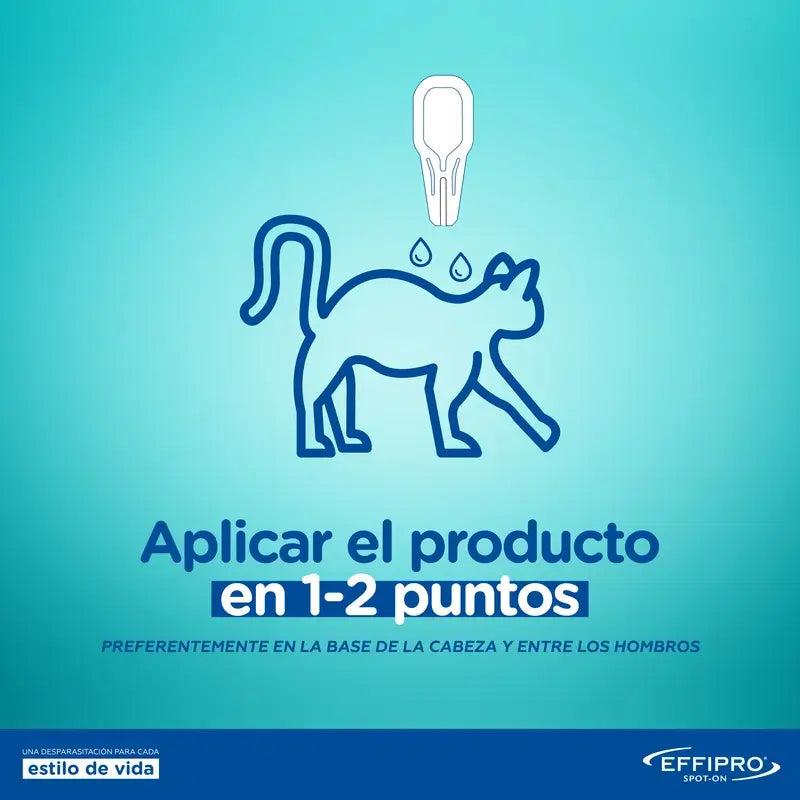 Effipro 50 mg Spot-On -kissille, 4 pipettia