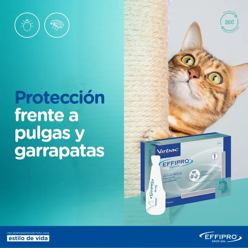 Effipro 50 mg Spot-On -kissille, 4 pipettia