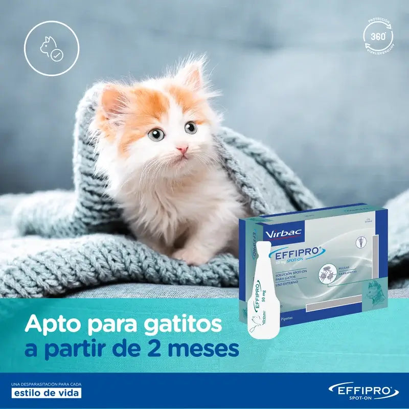 Effipro 50 mg Spot-On -kissille, 4 pipettia