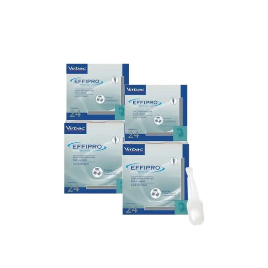 Effipro 50 mg Spot-On kissille, 2 kpl:n pakkaus