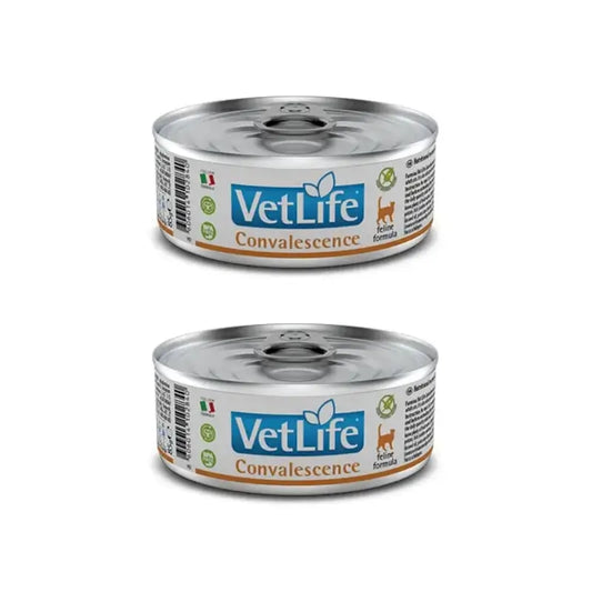 Farmina Vet Cat Convalescence 12X85Gr Box, Wet Cat Food, Pack Of 2