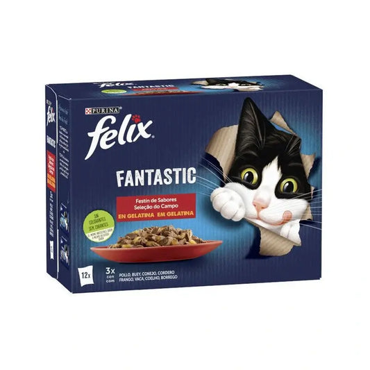 Felix Fantastic Carnes -hyytelö 4 x 24 x 85 grammaa