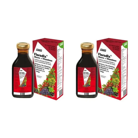 Floradix Floradix Iron + Vitamins, Pack Of 2X500 Ml