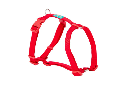 Freedog Basic-nylonvaljaat, punaiset, 20 mm, 51/70 cm