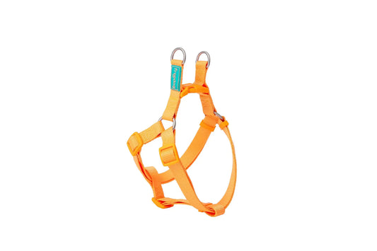 Freedog Nylon Basic -valjaat, tyyppi A, musta, 10 mm, 20/36 cm