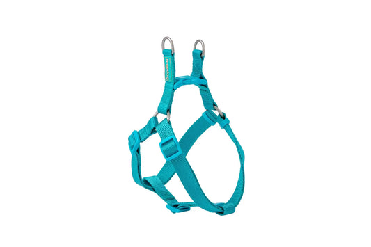 Freedog Nylon Basic -valjaat, tyyppi A, turkoosi, 15 mm, 30/50 cm