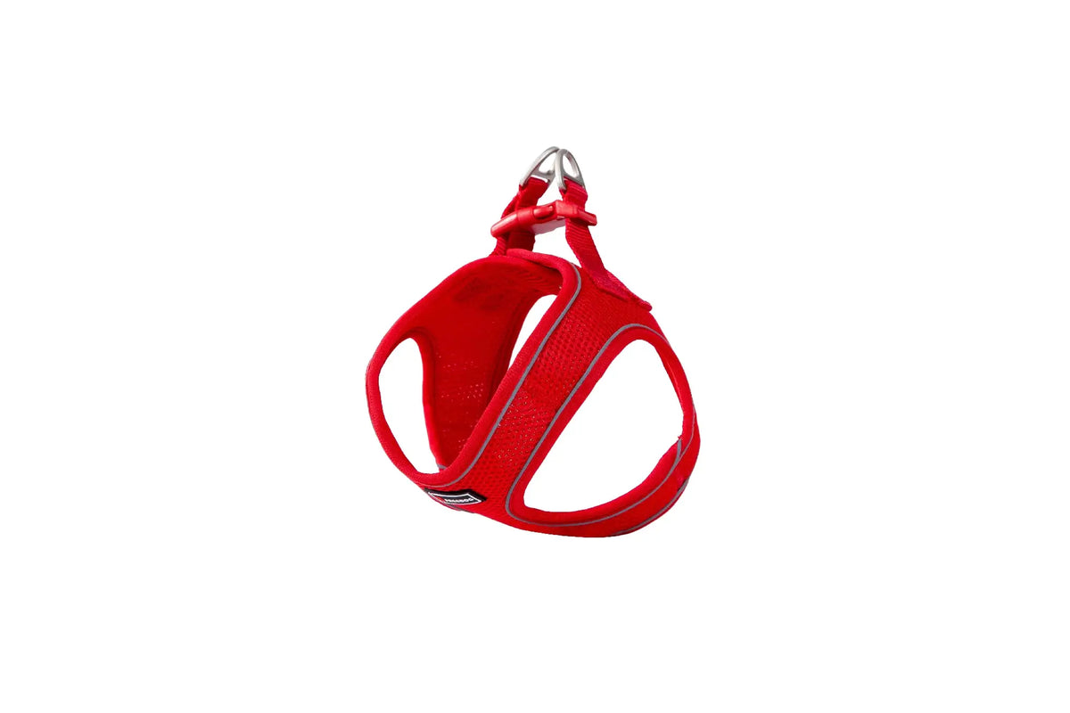 Freedog Soft -valjaat, punainen, koko S, 35–40 cm