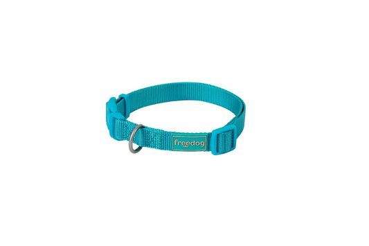 Freedog-kaulapanta, nylon, Basic, turkoosi, 20 mm, 35/60 cm