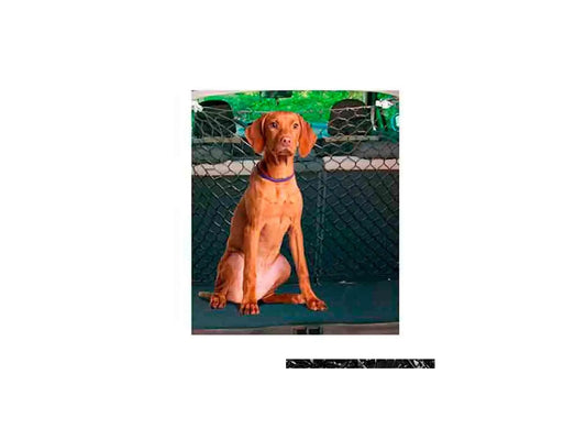 Freedog turva- ja erotteluaita 140 x 120 cm