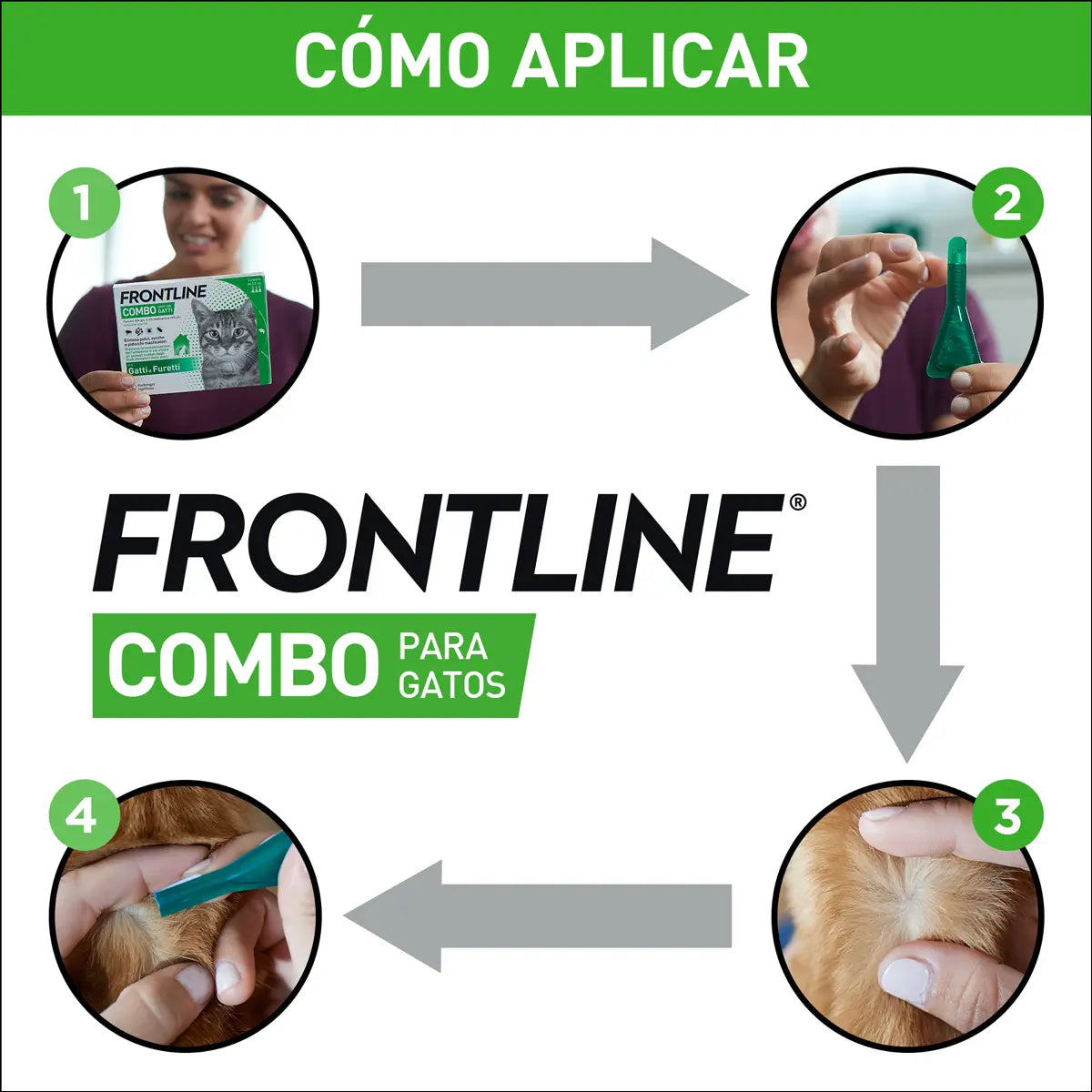 Frontline Combo -kissille ja furettille tarkoitettu Spot On -valmiste, 6 pipettia à 0,5 ml