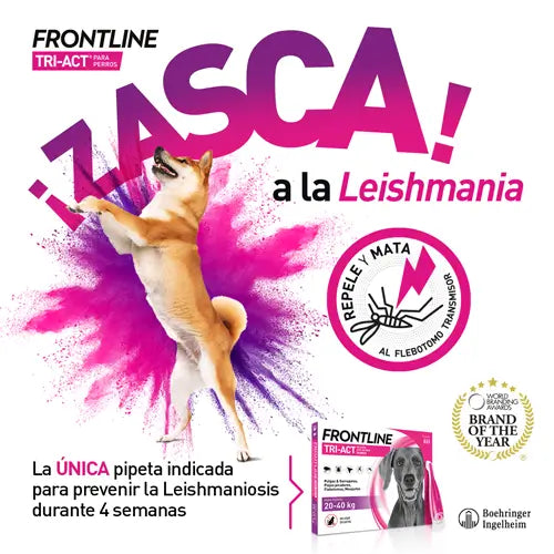 Frontline Tri-Act 5–10 kg 3 pip S