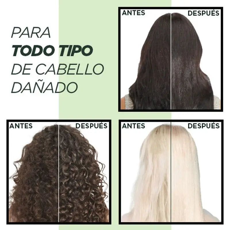 Garnier Fructis Adiós Daños -hoitoaine marulaöljyllä vaurioituneille hiuksille 250 ml