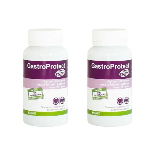 Gastroprotect Stangest, 2 x 30 tablettia