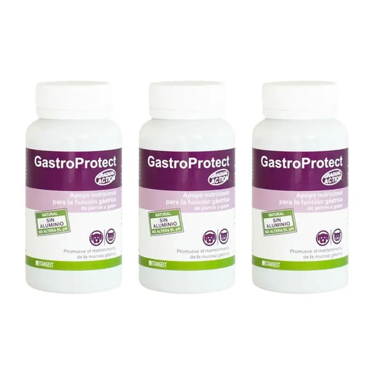 Gastroprotect Stangest, 3 x 30 tablettia