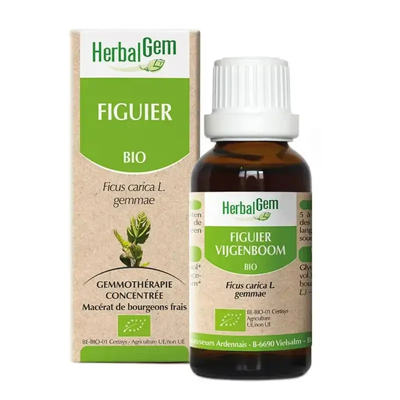 Herbalgem Fig Tree, 30ml