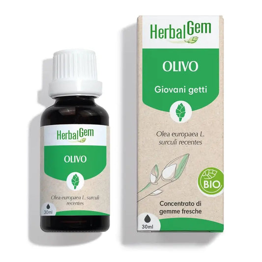 Herbalgem Olivo Bio 30 ml 