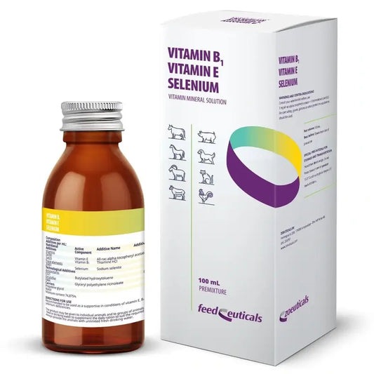 Hifarmax B1-E-seleeni-vitamiini 100 ml