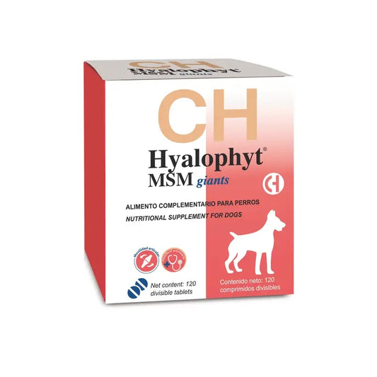 Chemical Hyalophyt MSM Giants, 120 tablettia 