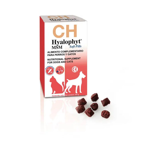 Chemical Hyalophyt MSM -pehmeät kapselit, 225 g