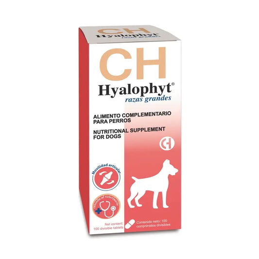Chemical Hyalophyt – suuret lajikkeet, 100 kpl 