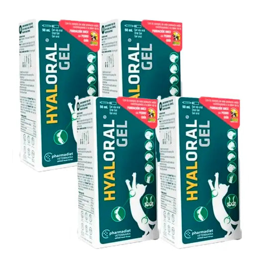 Hyaloral-geeli koiranpennuille ja kissoille, 4 x 50 ml:n pakkaus