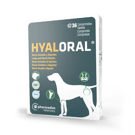 Hyaloral koirille (suuret ja jättikokoiset rodut), 36 tablettia