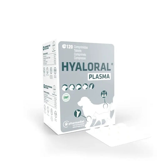 Hyaloral Plasma, 120 tablettia