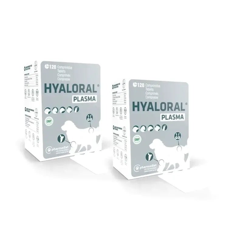 Hyaloral Plasma 120 tablettia, 2 pakkausta