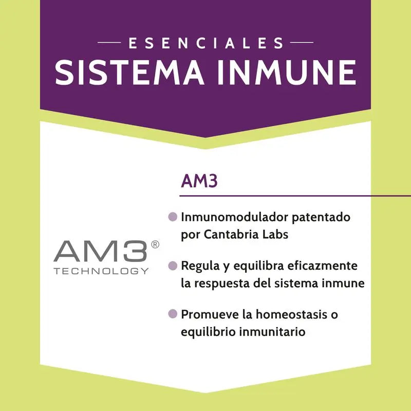 Stangest Inmuhealth 60 tablettia