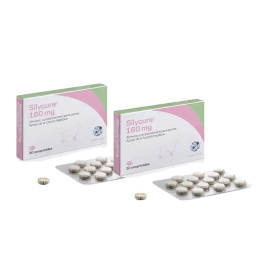 Karizoo Silycure 160 mg, pakkaus 2 x 30 tablettia