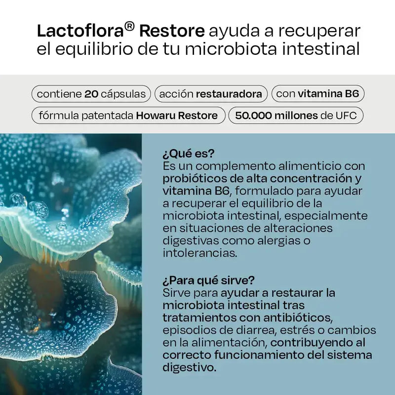 Lactoflora Restore 20 kapselia