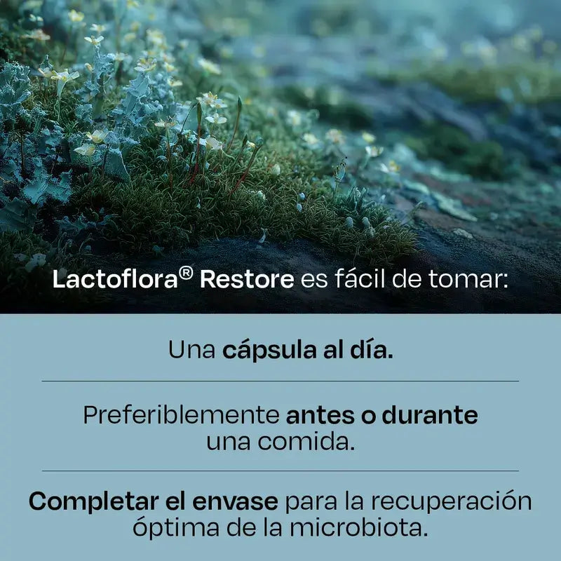 Lactoflora Restore 20 kapselia